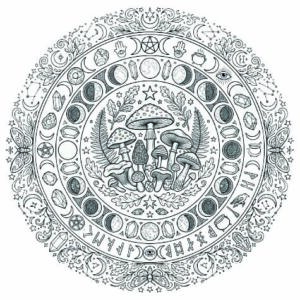 Mandala de hongos - Dificultad media